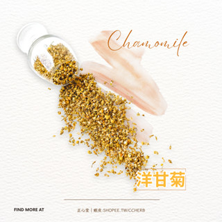【正心堂】洋甘菊 75克 300克 食品級 檢驗 開發票 乾燥洋甘菊 花草茶 洋甘菊茶 自家進口 批發 果茶 乾燥花茶