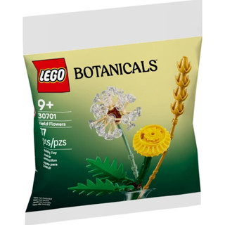 【小人物大世界】LEGO 30701 樂高 polybag 清新野花