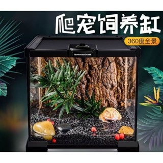 §寵愛安心+§ 臺灣現貨快速出貨 守宮飼養箱 爬蟲生態缸 玻璃缸 爬寵飼養箱 守宮蜥蜴角蛙寄居蟹烏龜蛇蟲玻璃雨林缸生態缸