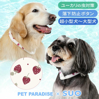 【PET PARADISE】寵物涼感SUO降溫項圈 (3S-L)｜PP草莓 2025 28℃冰凍降溫 大人可用 防蟲效果