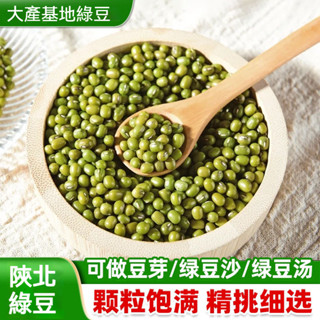 精選陝北綠豆 優質山地種植綠豆 正宗農家綠豆 生豆芽解暑綠豆湯綠豆沙專用 自然晾曬 甜香沙糯