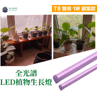 [瑞光植物燈]全光譜植物燈PRO T8 30cm多肉 塊根 龍舌蘭 觀葉 鹿角蕨 上色防徒