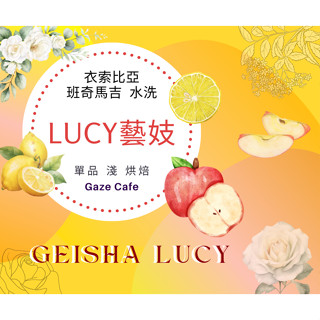 【亞軍 2023世界盃烘豆大賽 臺灣區】新產季 露西藝妓 咖啡豆 Lucy 藝伎 班奇馬吉 水洗 莊園咖啡豆 淺焙咖啡