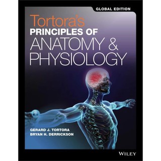 [華通書坊]Principles of Anatomy & Physiology GE 1/e GE 2017 G.J.TORTORA 9781119382928