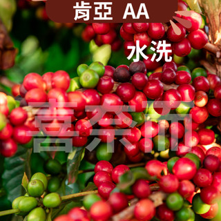 【喜奈而】咖啡生豆 肯亞 【快速出貨】咖啡豆 生豆 烏克慄慄 黑莓皇后 AA AB 水洗 麒麟雅加