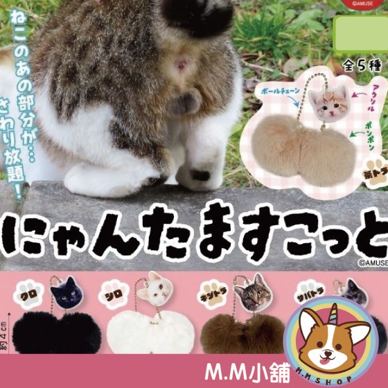 【M.M小舖】『現貨』 AMUSE 轉蛋 扭蛋 貓咪蛋蛋絨毛吊飾 絨毛吊飾 鈴鐺貓 吉祥物 掛飾 吊飾 全5款