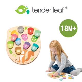 美國【Tender Leaf】數字橡果益智拼圖 木製玩具 兒童玩具 積木玩具 木質玩具 玩具 木頭玩具｜baby888