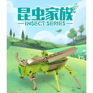 開智昆蟲拼裝積木相容樂高 兒童益智玩具蚱蜢小昆蟲模型玩具 男孩女孩拼插 拼圖蚱蜢螞蟻玩具 昆蟲家族 益智擺件