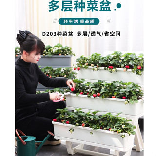 🔥 臺灣 熱賣 長方形花盆 塑膠花盆 大花箱 戶外花盆 種菜盆 陽臺菜架 種植箱 大花盆 花架 塑膠花架 花架 置物架