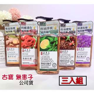 【古寶 無患子】成分升級新上市-無矽靈洗髮精露450g 三入組( 馬鞭草/咖啡因/薰衣草/奧圖玫瑰/薑萃 ) 洗髮