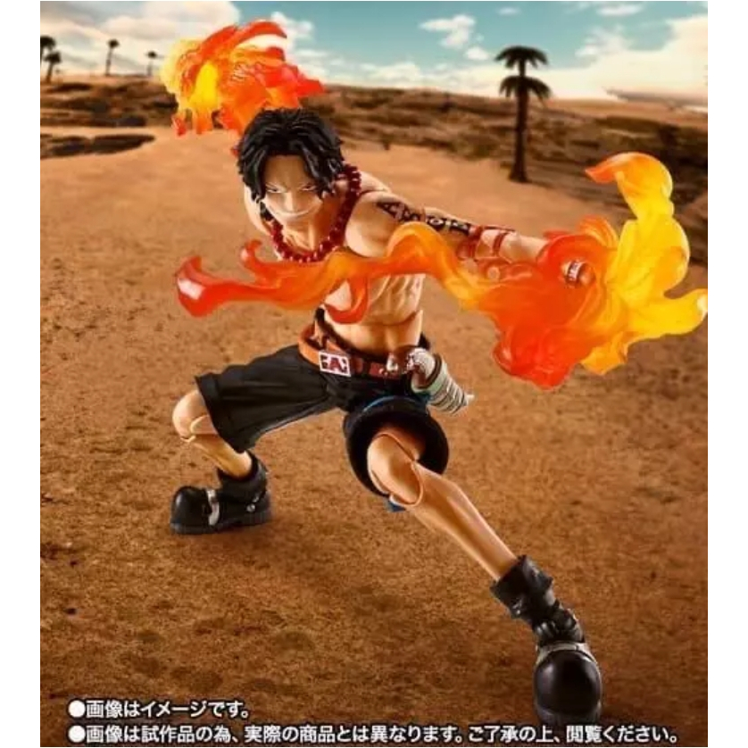 shf 海賊王 航海王 火拳 艾斯 波特卡斯D 可動 完成品