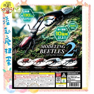 ♧溢起瘋扭蛋♧ 6月預購 YELL 扭蛋 轉蛋 可動甲蟲模型P2 鍬形蟲 大兜蟲 獨角仙 甲蟲 全4款