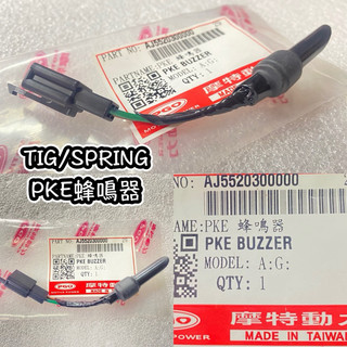 PGO正廠零件 TIG蜂鳴器 SPRING蜂鳴器 TIG鎖頭 SPRING鎖頭 TIGPKE蜂鳴器 SPRING蜂鳴器