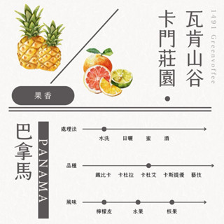 巴拿馬 卡門莊園 瓦肯山谷 水洗 生豆500克 精品咖啡 莊園單品 批發零售 商業合作 灰焉生豆