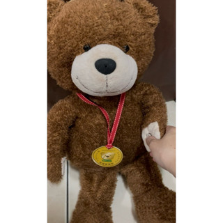 二手 現貨 啟思文化 金牌 寶寶熊 互動教學 床邊故事 會說話的小熊🐻 唱歌 中文 英文 兒歌 單字 句子 故事