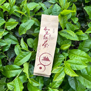 【嵐玉紅茶】紅玉紅茶 茶葉 75g 台茶18號 紅玉紅茶 日月潭紅茶 茶包 茶葉 自產自銷