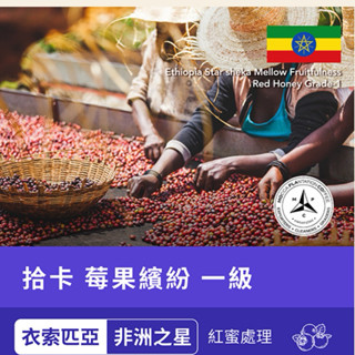 「米諾咖啡買一送一」 非洲之星 拾卡 莓果繽紛 一級【紅蜜處理」（中淺焙)咖啡豆半磅800元滿千免運費
