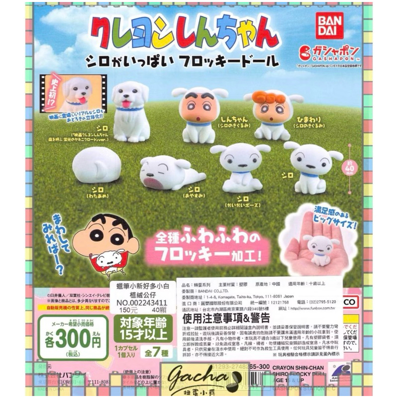 小美買🌹現貨 BANDAI 轉蛋 扭蛋 蠟筆小新好多小白植絨公仔 小白 小新 小葵 植絨 公仔