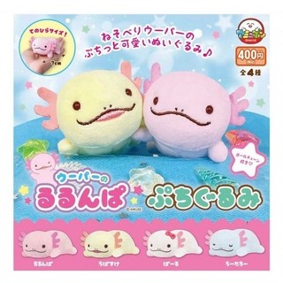 『現貨』蠑螈趴趴玩偶吊飾 AMUSE 扭蛋 轉蛋 【蛋樂寶】