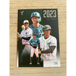中華職棒球員卡 中華職棒34年 特卡 臺鋼 團體卡 CPBL 2024
