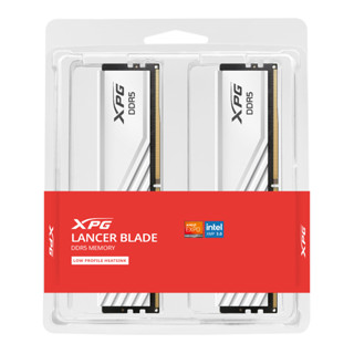 [含稅開發票] ADATA威剛 XPG LANCER BLADE DDR5 5600 600016GX2雙通道/記憶體