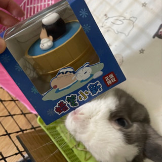 現貨 蠟筆小新 拍拍燈 小夜燈 浴桶 扭蛋 盲盒 生日禮物 隱藏版 夾娃娃 春酒抽 尾牙抽 巨無霸 一番賞 便宜二手全新
