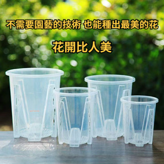 🔥阿風精選桃園出貨🔥新款蝴蝶蘭花盆 控根盆 透明花盆 青山盆 文心蘭盆 透明塑膠透氣花盆 蘭花盆 家用花盆 加厚透氣透明