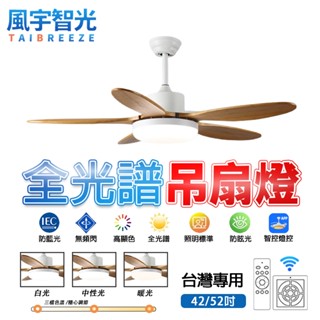 【風宇智光】吊扇燈 風扇燈 三色調光 北歐客廳大風量吊扇燈 遙控 臥室簡約餐廳風扇燈 吊扇燈具 吊燈風扇 靜音 定時