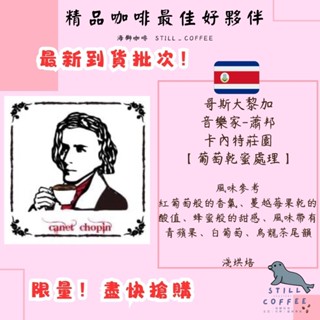 蕭邦 精品咖啡豆 哥斯大黎加 卡內特莊園 音樂家系列【海獅CP值最高咖啡豆】國際 SCA 生豆品質鑑定師 x 烘豆師