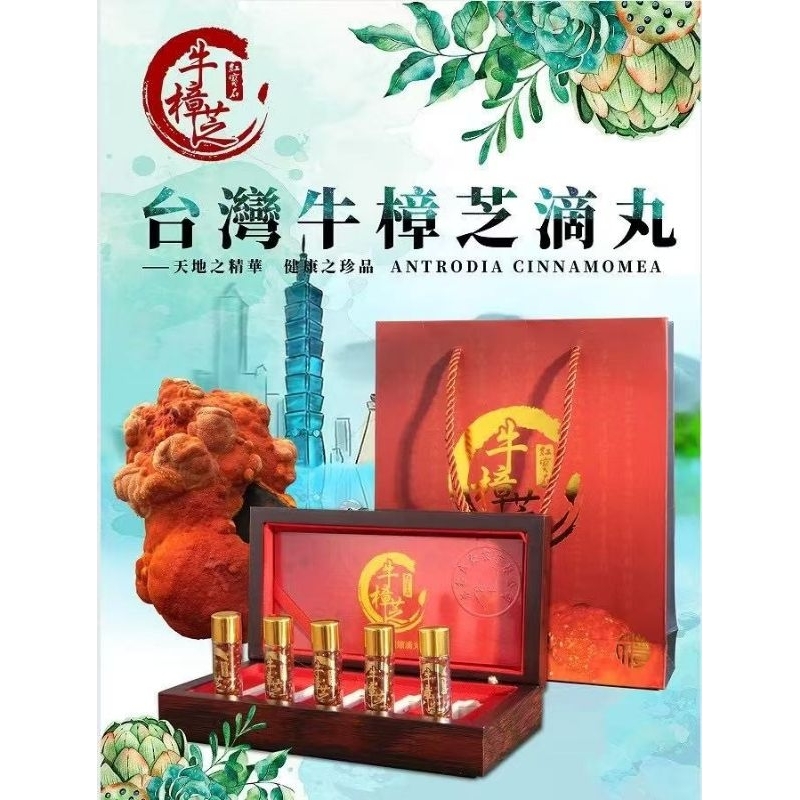 （2025年新包裝）官方公司貨台灣紅寶石高濃縮牛樟芝滴丸5瓶裝椴木子實體牛樟菇禮盒非稀釋款