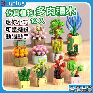 【24H出貨】多肉積木 積木 多肉植物積木 微型積木 多肉植物 盲盒 辦公室小物 交換禮物 生日禮物 多肉積木12入