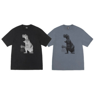 〖LIT-select〗Stussy 25SS Big & Meaty Pigment Dyed Tee 短袖 短T