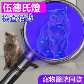 強紫光手電筒 貓蘚寵物真菌檢測燈 紫光驗鈔燈 伍德氏燈 365nm貓癬紫外線燈 紫光燈 熒光劑檢測 玉石燈