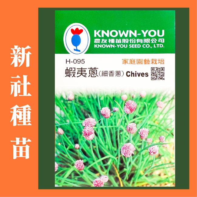 細香蔥種子｜蝦夷蔥種子｜香草種子｜蔬菜種子｜開心農場｜居家種植｜陽台菜園｜廚房香草栽種｜簡單種植
