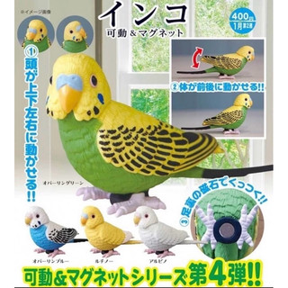 全新現貨KITAN 鸚鵡 可動&磁鐵 4款扭蛋