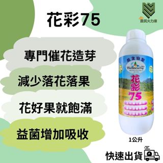 【農民火力庫】【24H出貨】花彩75 高優質磷鎂硼海帶複合肥1公升 催花造芽保果 增重飽漿 溶磷益菌提升吸收減少落花落果