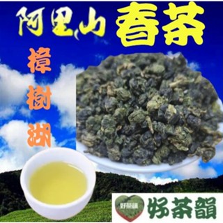 🍃 阿里山樟樹湖 114年春茶｜四兩1包$299多件優惠【好茶韻】青茶（生茶） 🍃高山茶