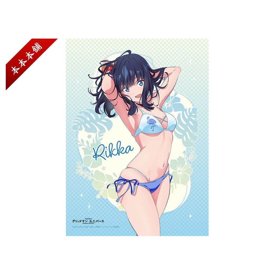 (全新現貨)《電光超人》SSSS.GRIDMAN 寶多六花 泳裝 B2掛軸 窗簾魂