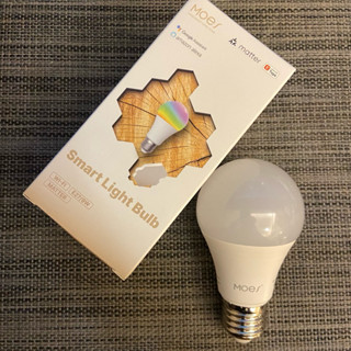 matter智慧燈泡 Apple Siri Homekit Google Alexa home echo Wi-Fi直連