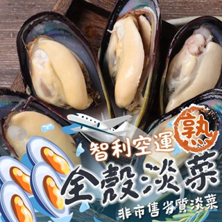 【帥哥魚】🔵熟凍處理🔴 全殼淡菜 智利/紐西蘭 淡菜 半殼貽貝 半殼淡菜 熟淡菜 全殼熟淡菜 貽貝 淡菜 貝類 孔雀蛤