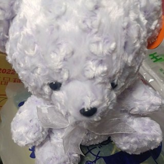可愛泰迪熊 小熊布娃娃 絨毛娃娃 30cm