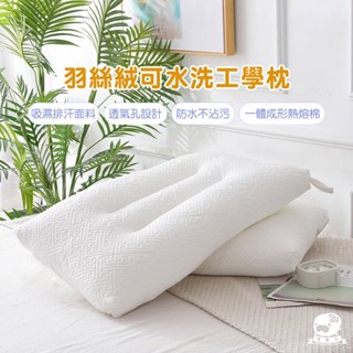 睡整天／可水洗枕 羽絲絨枕 可水洗羽絲絨工學枕 吸濕排汗 枕頭 枕心 內枕 柔軟偏低 73×43cm 工學枕 防蟎抗菌枕