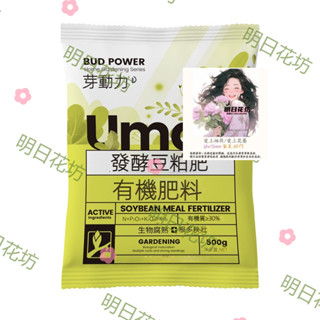 明日花坊 蔬菜 種菜 通用型 園藝花卉 植物 500g
