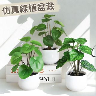 🪴模擬綠植盆栽🪴 辦公室盆栽 迷你盆栽 窗邊綠植裝飾 桌面居家擺件 室內盆栽 龜背葉 園藝花瓶 人造花 小花盆 假花盆栽