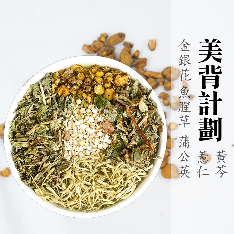 美背計劃 金銀花 魚腥草 蒲公英 薏仁# 七七老大 77老大