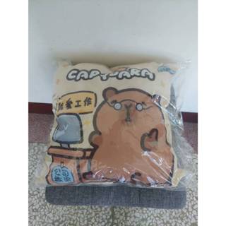★(全新)現貨 卡皮巴拉抱枕 水豚君抱枕 卡比巴拉 水豚君 Capybara 柔軟抱枕 午休枕 禮物 30cm
