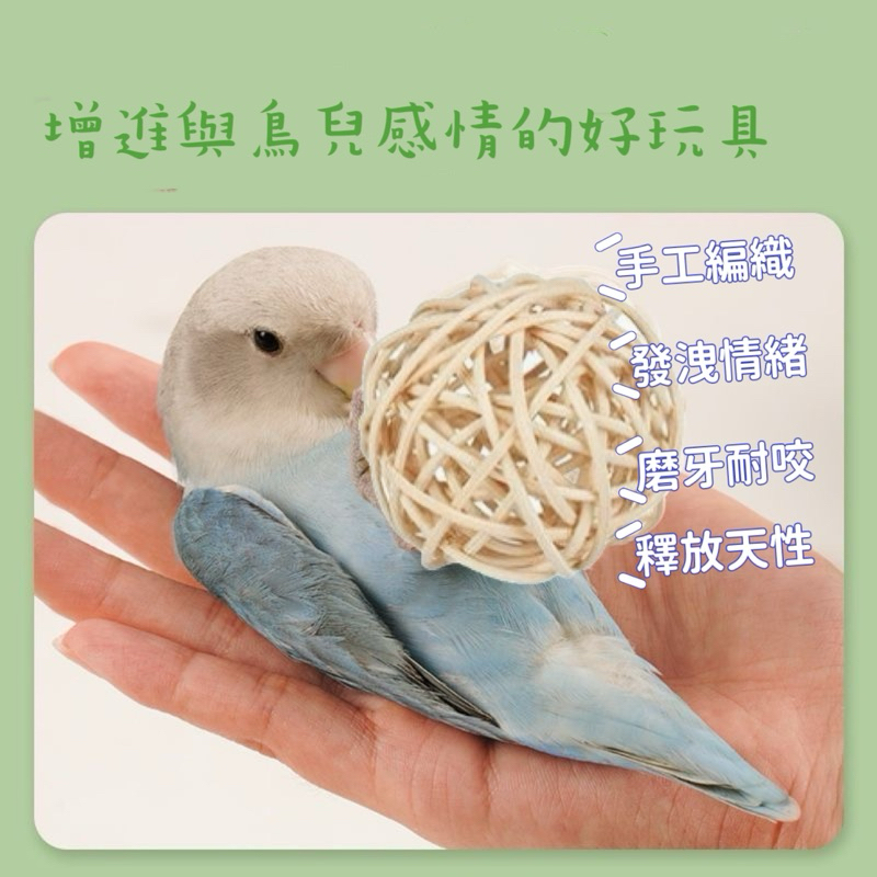 現貨🔸原木藤球 鸚鵡啃咬玩具 解悶文具 藤球 牡丹 玄鳳 小太陽