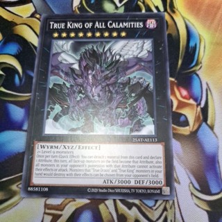 卡片屋 遊戲王 亞英普卡 真龍皇 法•王•獸 25AT-AE113