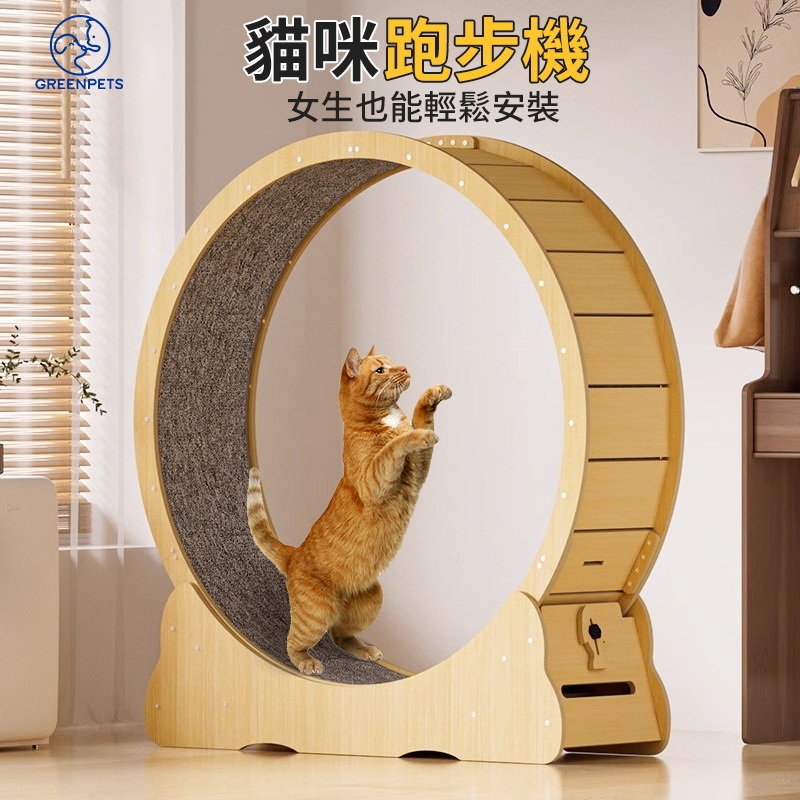 😽桃園現貨 貓咪跑步機 寵物健身運動 貓咪跑輪 貓滾輪 寵物健身靜音跑道 運動轉輪玩具 貓咪玩具【保固一年】