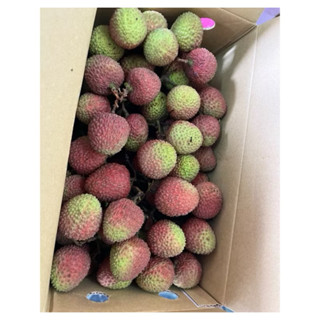 大樹 荔枝玉荷包自產自銷/另有鳳梨 極甜歡迎詢問
